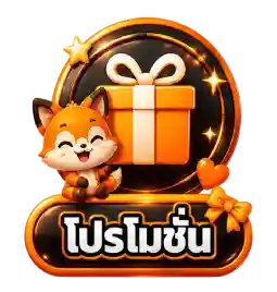 โปรโมชั่น14